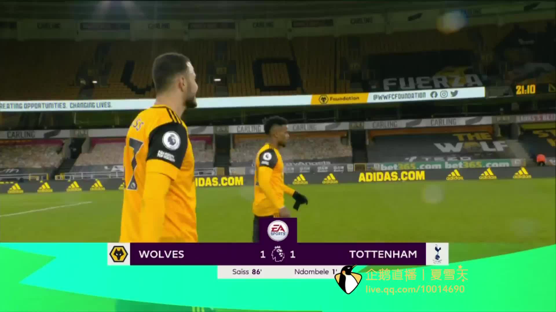 马的成功转 马的成功转