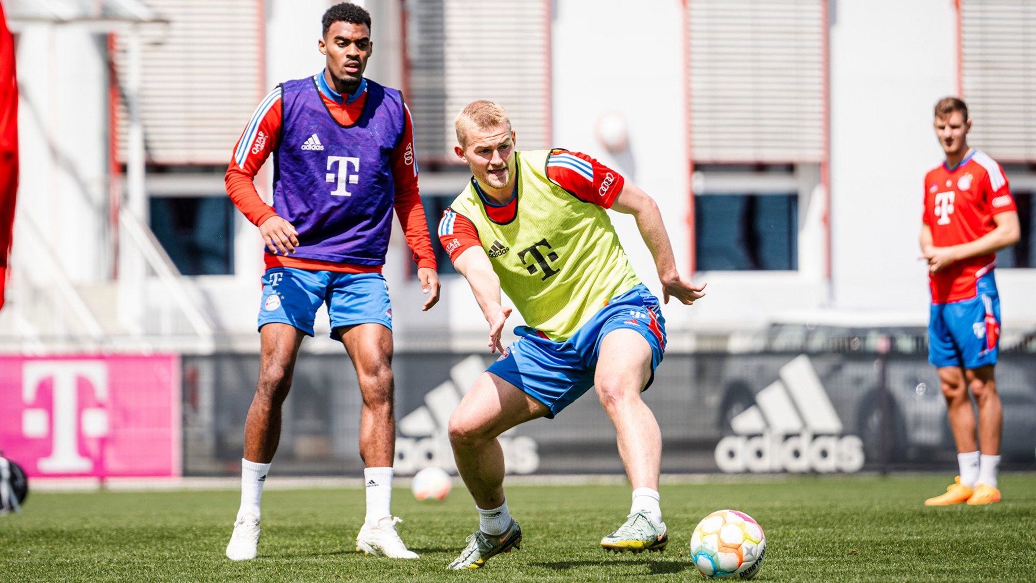 雷迪克之所 雷迪克之所